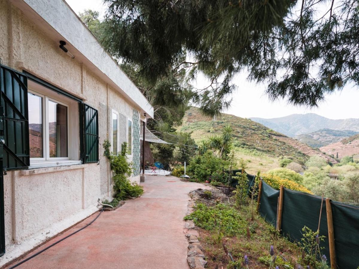 Maison F2 Independante Avec Terrasse, Climatisation Et Wifi A Banyuls-Sur-Mer - Fr-1-309-262 外观 照片