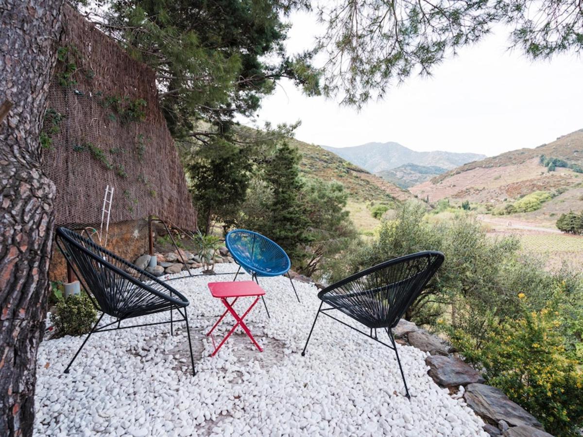 Maison F2 Independante Avec Terrasse, Climatisation Et Wifi A Banyuls-Sur-Mer - Fr-1-309-262 外观 照片